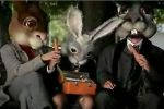Sainsburys - Rabbit Food